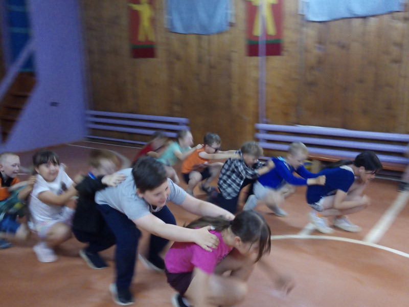 11 день "День забавных животных".